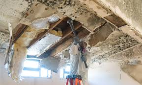 Best Attic Mold Removal in South San Jose Hills, CA